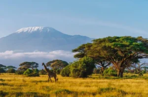 Amboseli national park